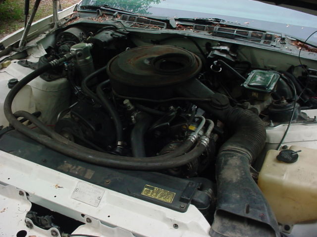 1984 Pontiac Trans Am - photo 11