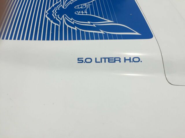 1984 Pontiac Firebird trans am - photo 13