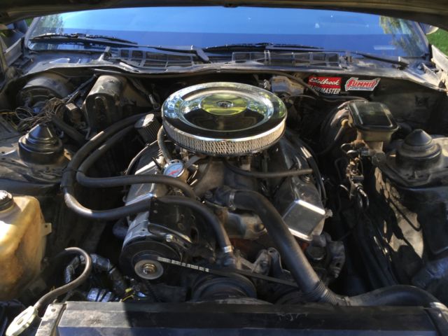 1984 Pontiac Trans Am trans am - photo 6
