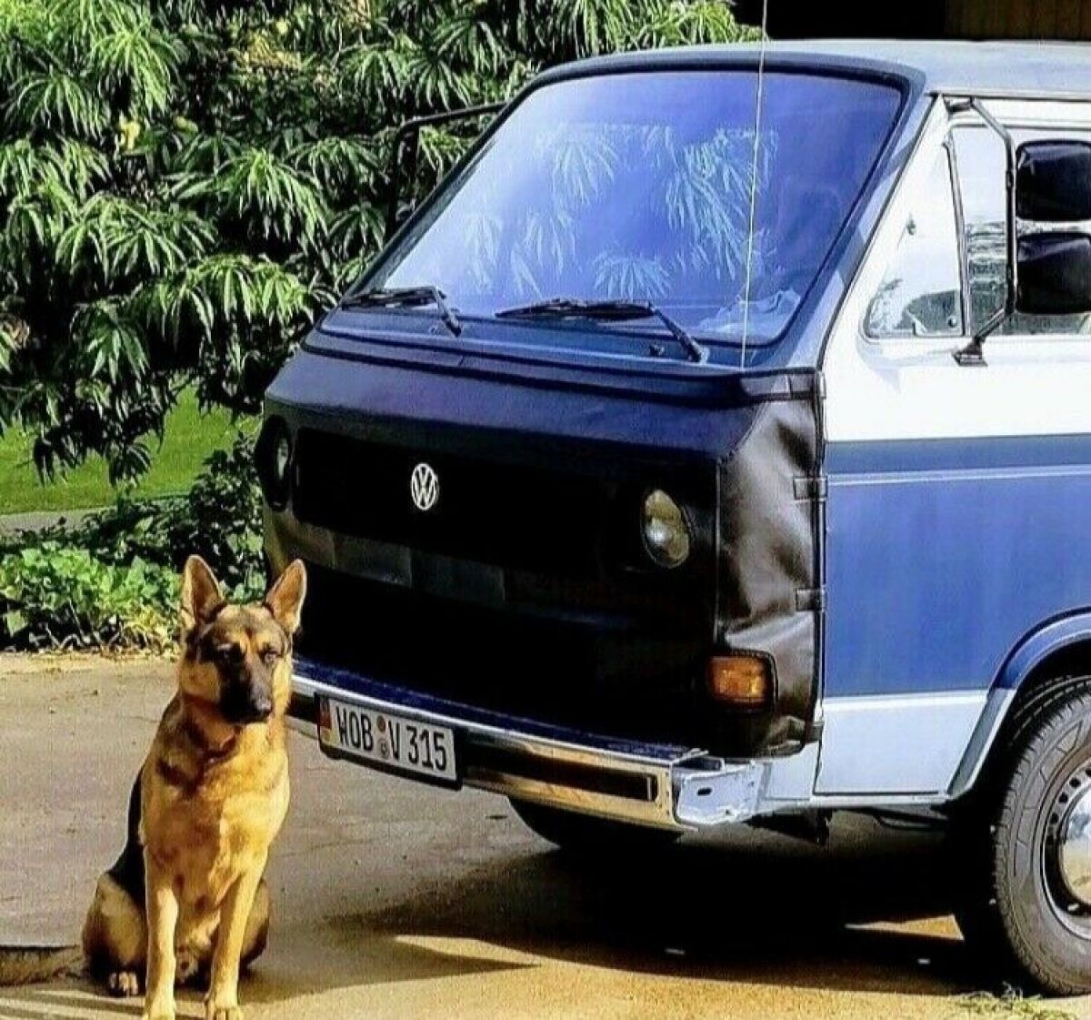 1984 Volkswagen Vanagon Van Blue RWD Manual BUS 1984 Volkswagen Vanagon BUS