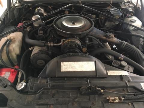 1984 Cadillac Eldorado Coupe - photo 10