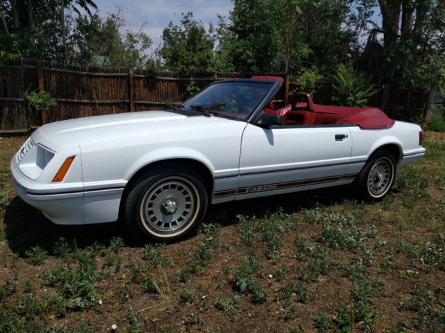 1984.5 Mustang 20th Anniversary Special GT 350 1984 Ford Mustang