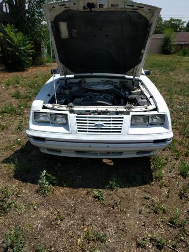 1984 Ford Mustang - photo 7