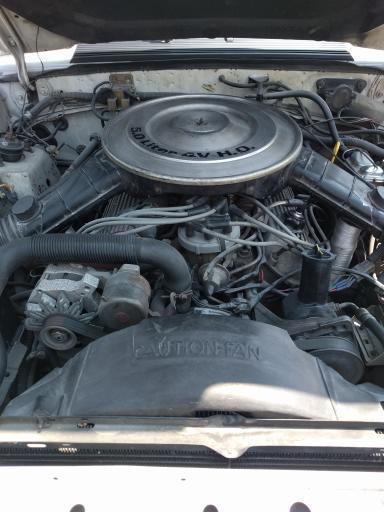 1984 Ford Mustang - photo 8