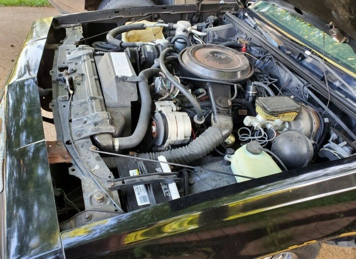 1985 Oldsmobile 442 442 - photo 10
