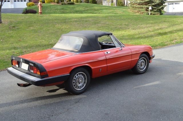 1985 Alfa Romeo Spider Graduate - photo 2