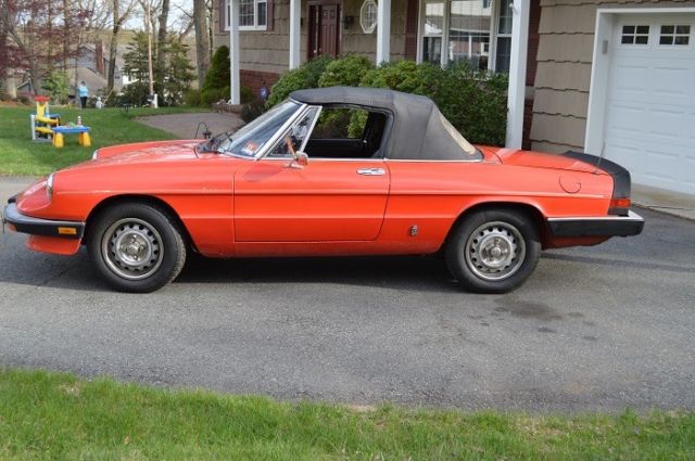 1985 Alfa Romeo Spider Graduate - photo 4