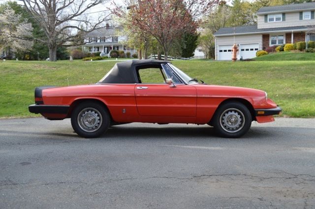 1985 Alfa Romeo Spider Graduate - photo 5