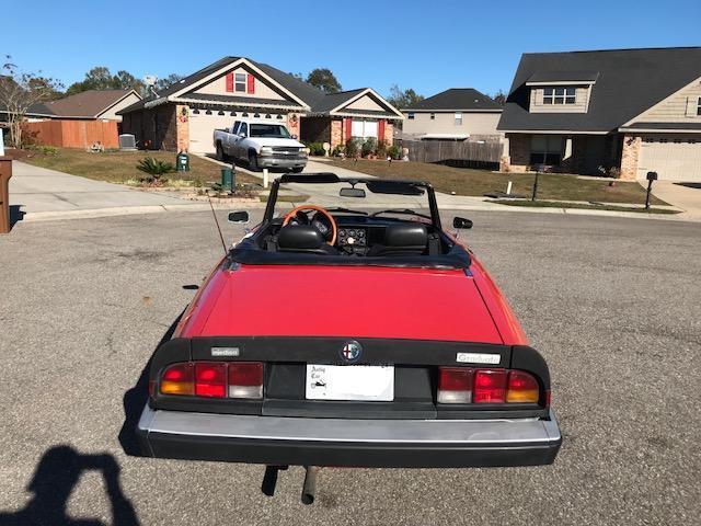 1985 Alfa Romeo Spider Convertible - photo 6