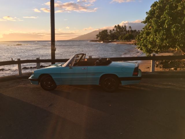 1986 Alfa Romeo Spider Basic - photo 6