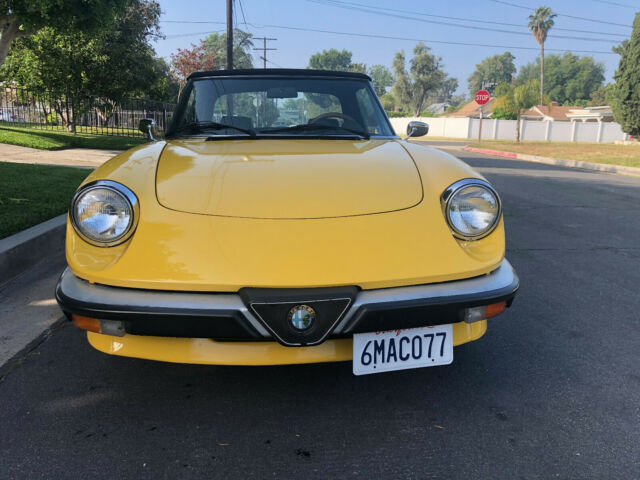 1985 Alfa Romeo Spider Convertible - photo 2