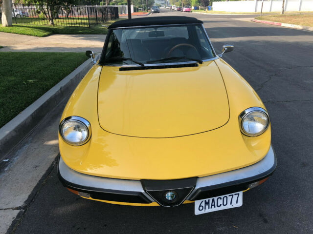 1985 Alfa Romeo Spider Convertible - photo 3