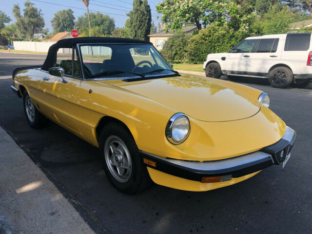 1985 Alfa Romeo Spider Convertible - photo 4