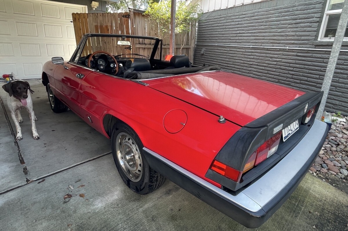 1985 Alfa Romeo Spider SPIDER - photo 2
