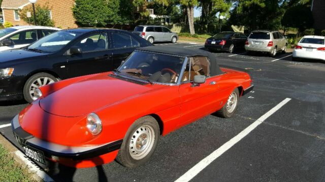 1985 Alfa Romeo Spider Spider Graduate - photo 7