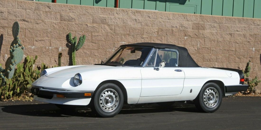 1985 Alfa Romeo Spider - photo 2