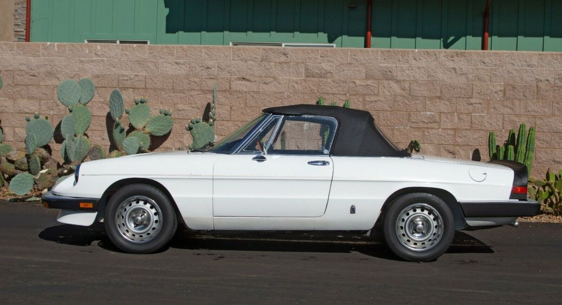 1985 Alfa Romeo Spider - photo 3