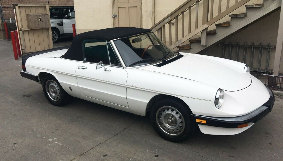 1985 Alfa Romeo Spider - photo 5