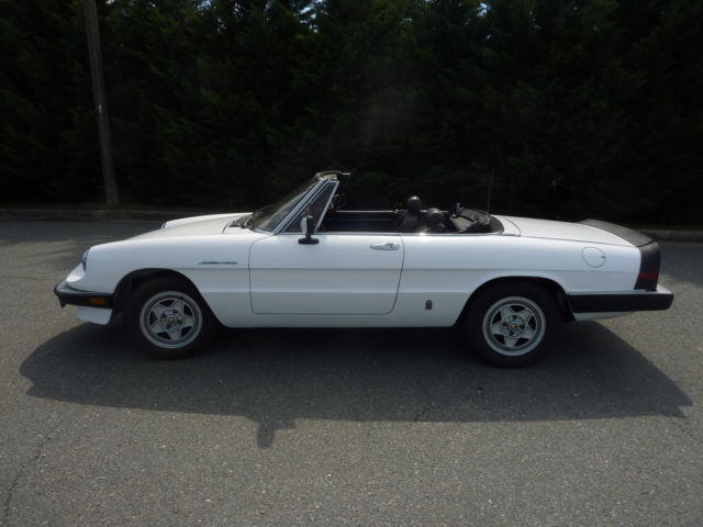 1985 Alfa Romeo Spider Veloce 1985 Alfa Romeo Spider
