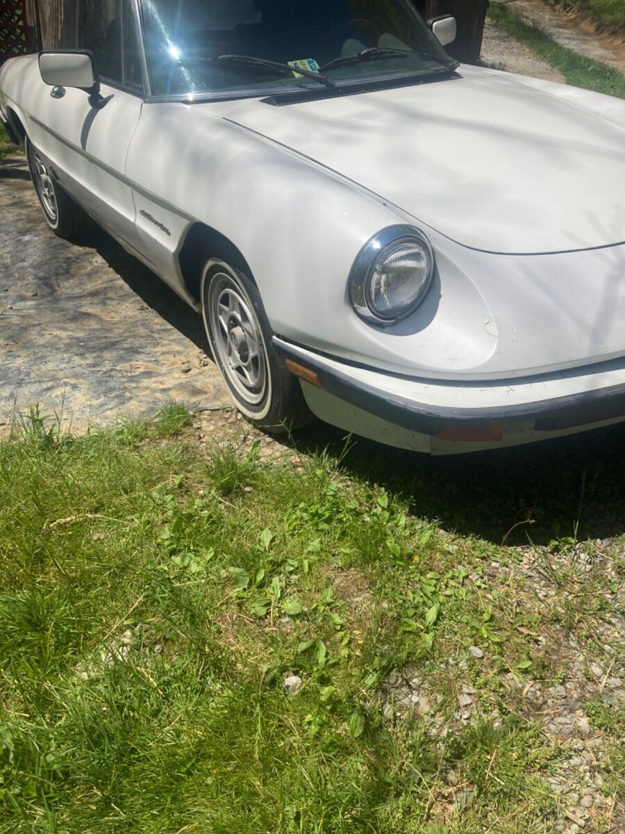 1985 Alfa Romeo Spider - photo 2