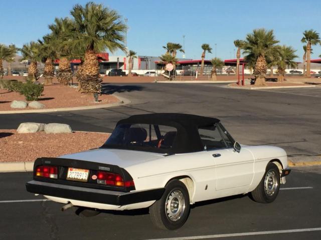1985 Alfa Romeo Spider VELOCE - photo 9