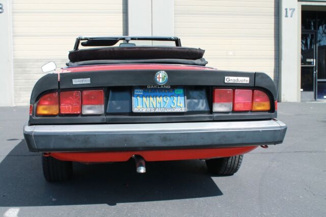 1985 Alfa Romeo Spider Graduate - photo 12