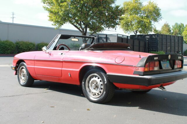 1985 Alfa Romeo Spider Graduate - photo 3