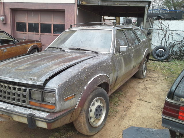 1984 AMC Other