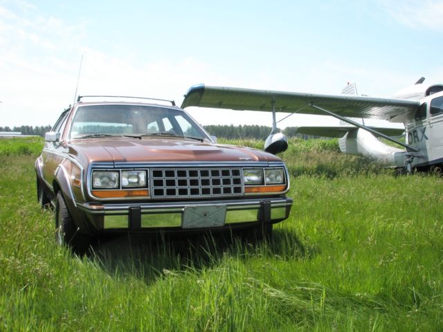 1985 AMC 4 Door Station Wagon Limited - photo 8