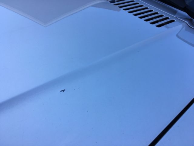 1985 Audi Other - photo 6