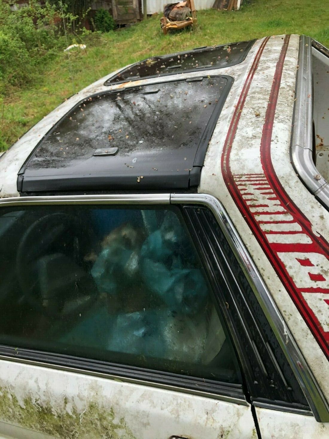 1980 Subaru brat - photo 5