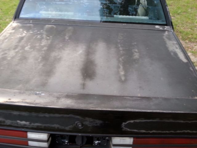 1985 Buick Grand National - photo 6