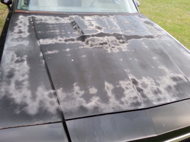 1985 Buick Grand National - photo 8