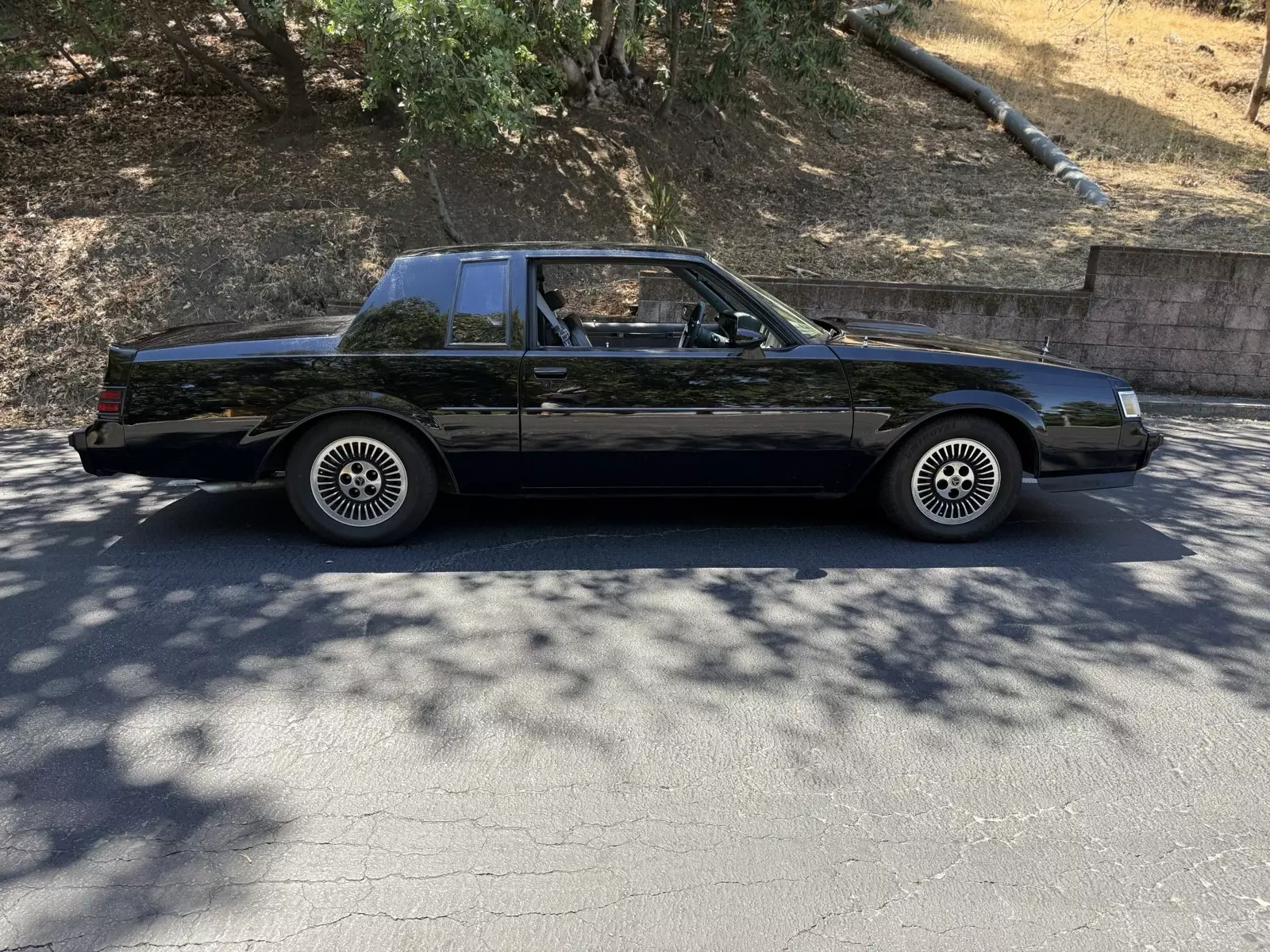 1985 Buick Regal T-TYPE