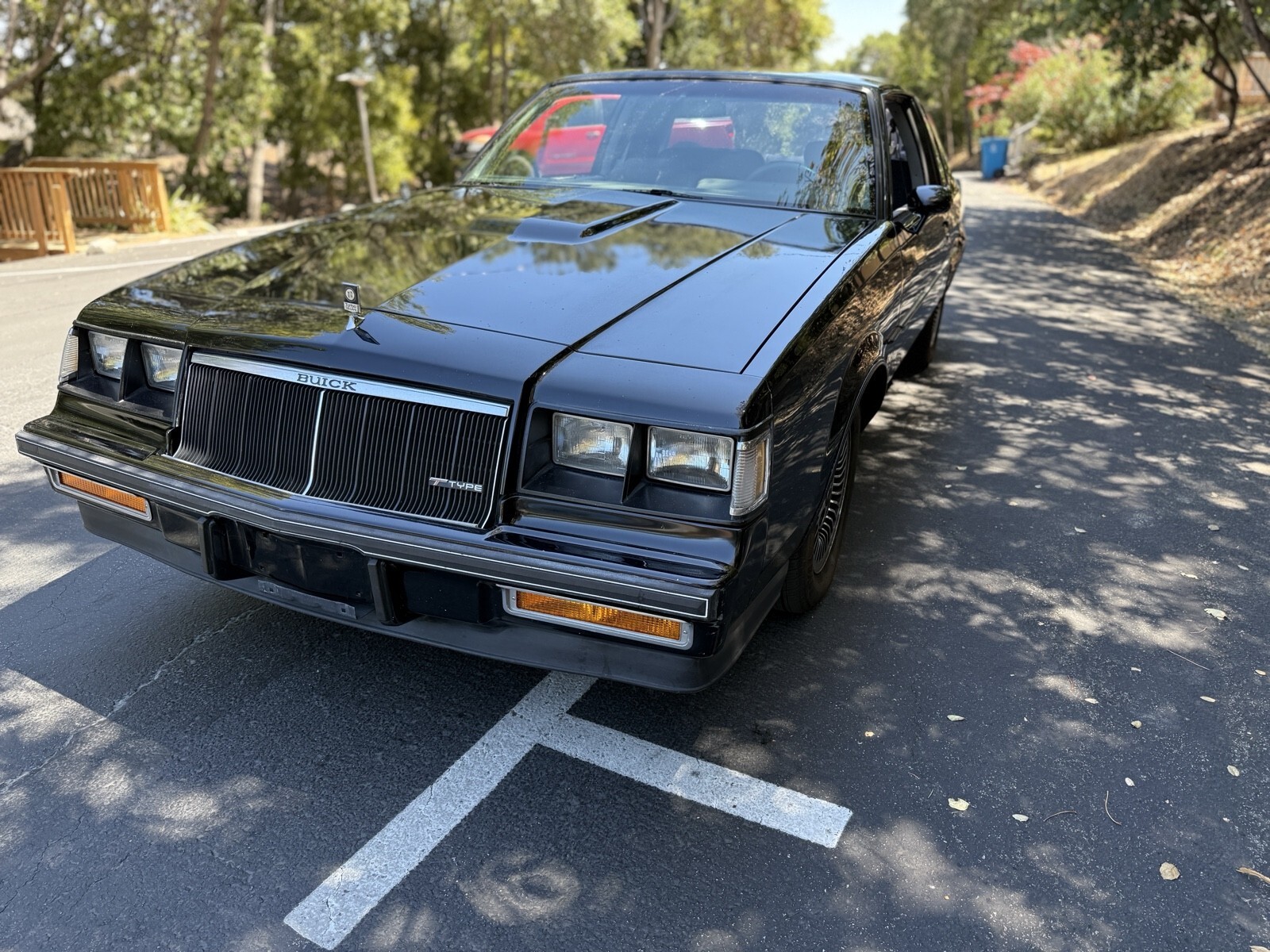 1985 Buick Regal T-TYPE - photo 10