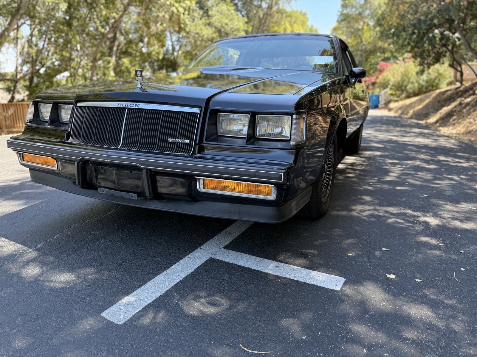 1985 Buick Regal T-TYPE - photo 11