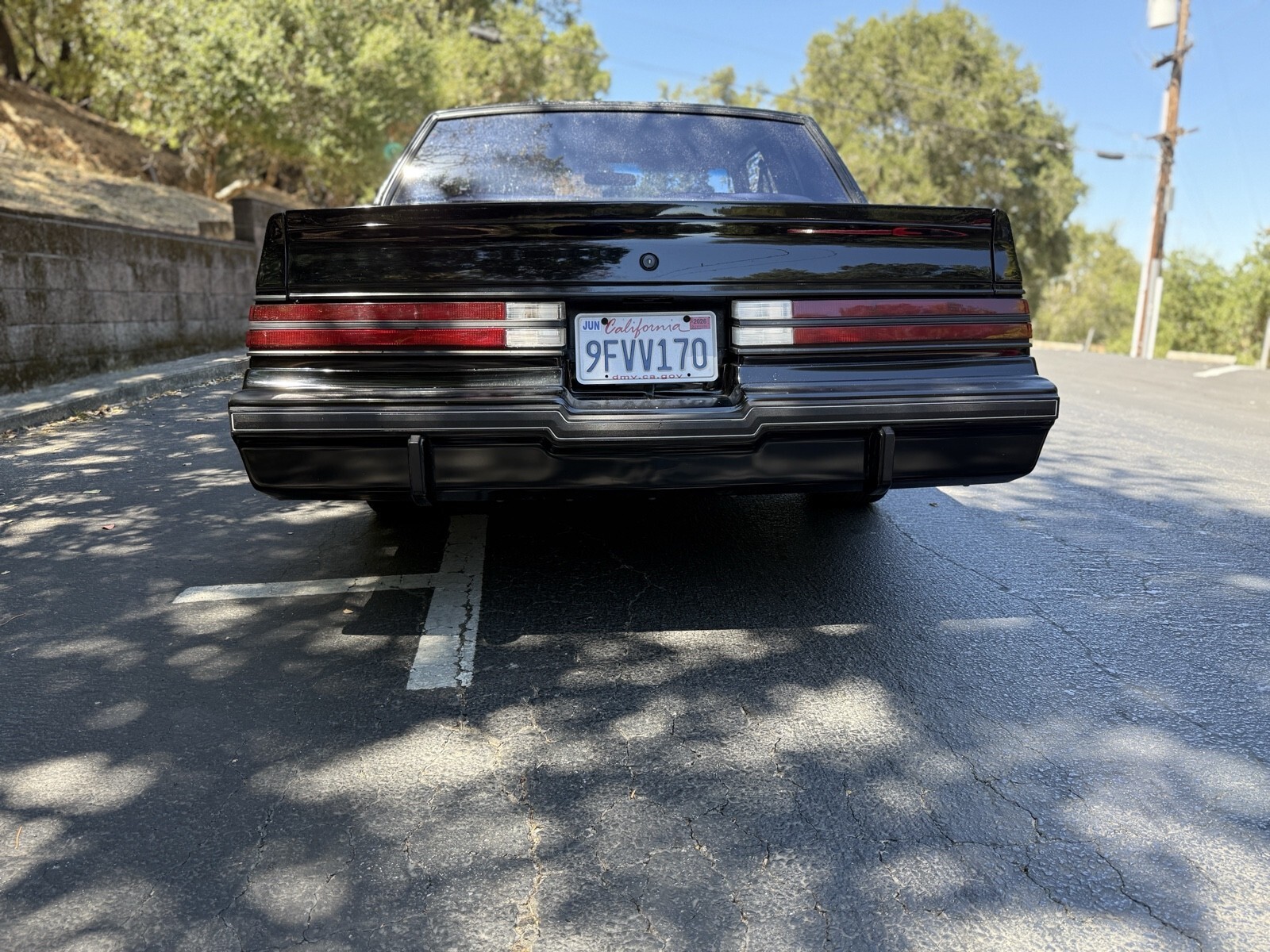 1985 Buick Regal T-TYPE - photo 12