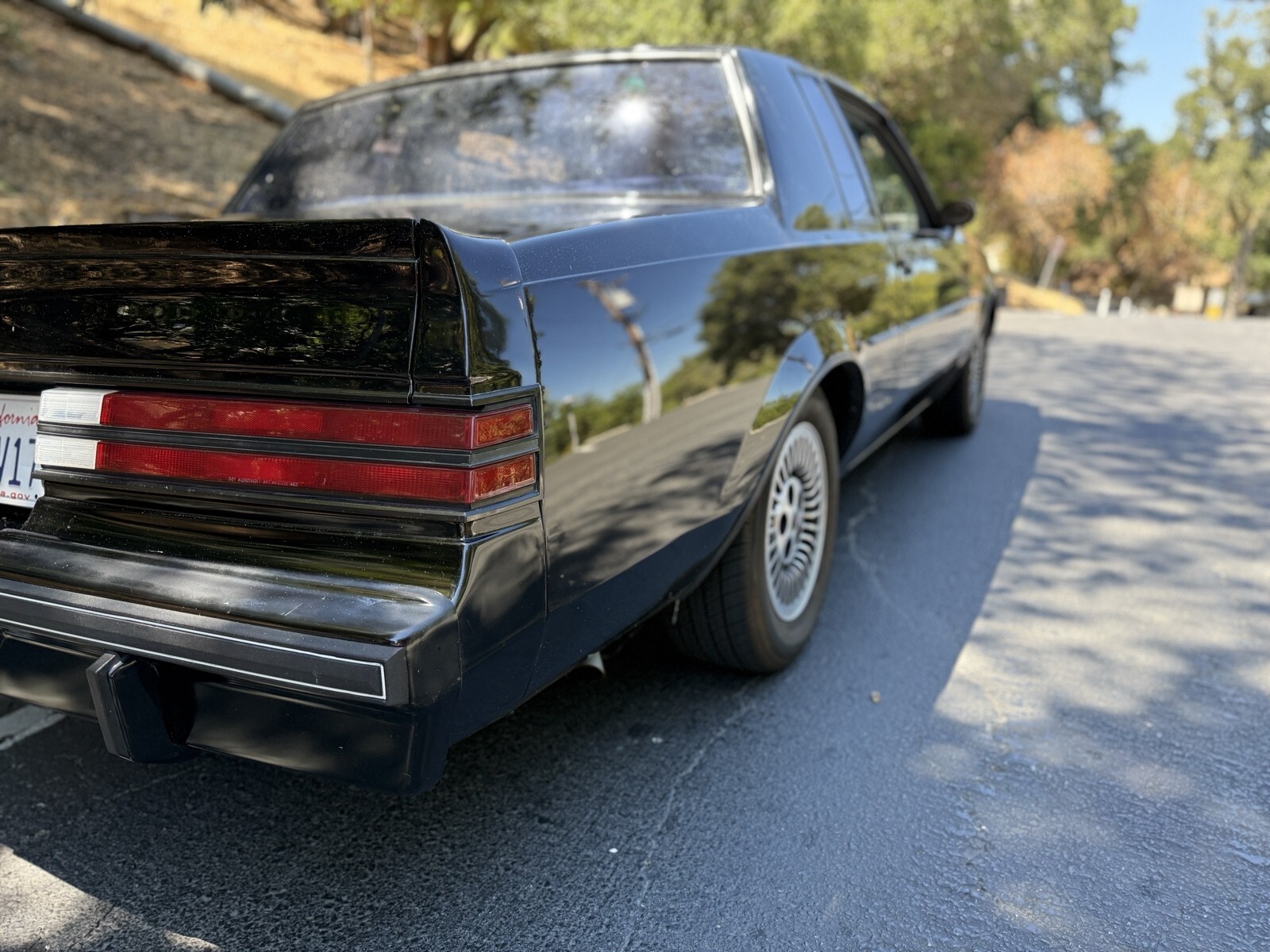 1985 Buick Regal T-TYPE - photo 6