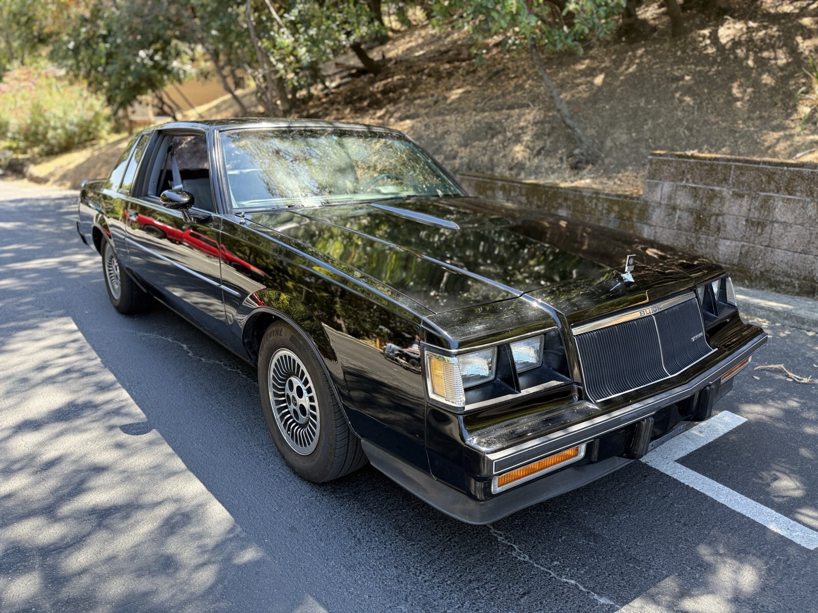 1985 Buick Regal T-TYPE - photo 7