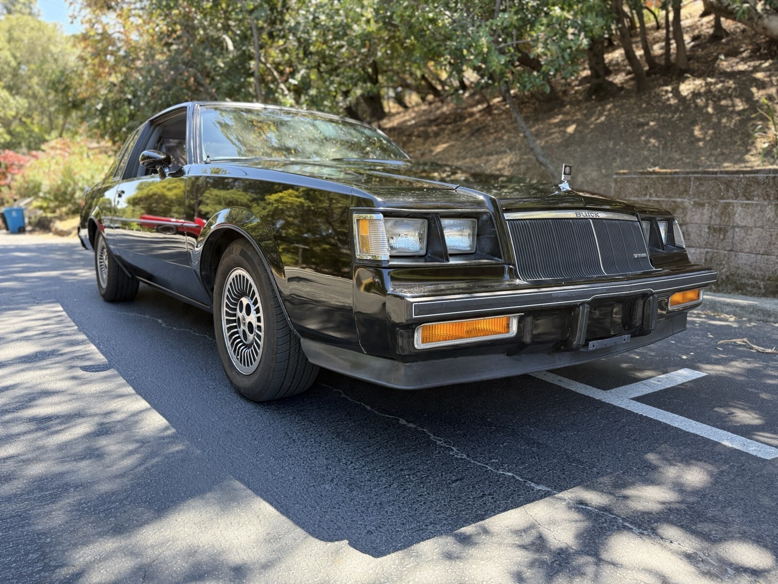 1985 Buick Regal T-TYPE - photo 8