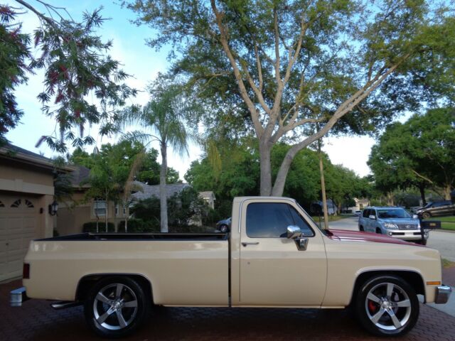 1984 Chevrolet C-10 CUSTOM DELUXE - photo 2