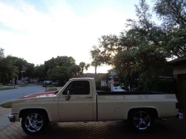 1984 Chevrolet C-10 CUSTOM DELUXE - photo 5
