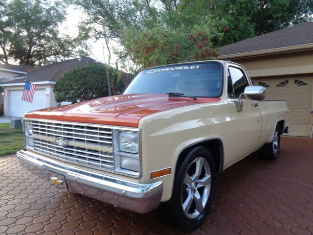 1984 Chevrolet C-10 CUSTOM DELUXE - photo 6