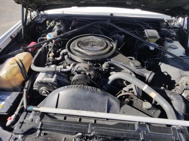 1985 Cadillac Eldorado Baritz - photo 5