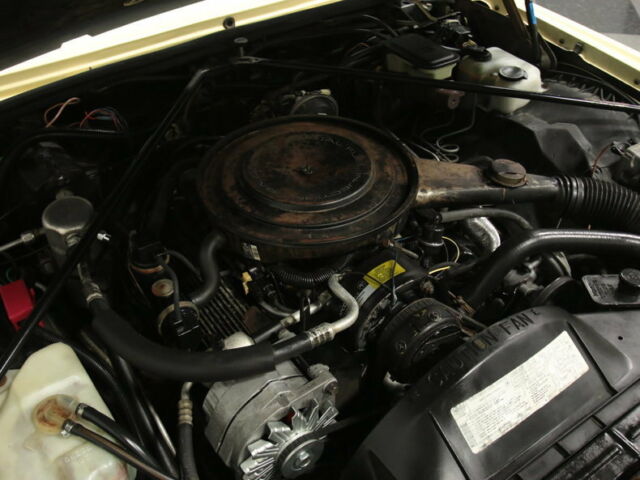1985 Cadillac Eldorado Collectors Edition - photo 3
