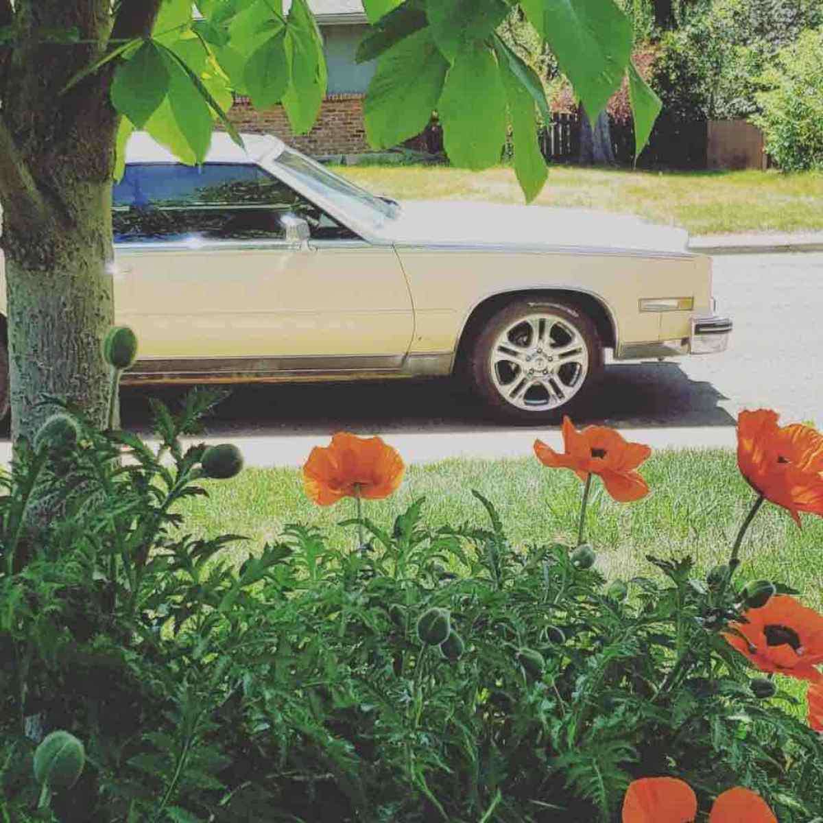 1985 Cadillac Eldorado Coupe Brown FWD Automatic 1985 Cadillac Eldorado