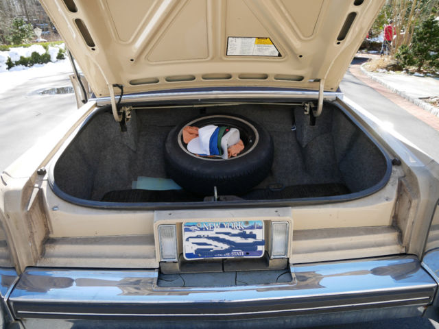 1985 Cadillac Fleetwood Brougham - photo 10