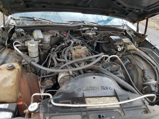 1985 Chevrolet Caprice 2 door coupe - photo 12