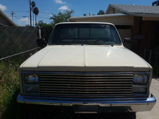 1985 Chevrolet C-10 Running Board - photo 8