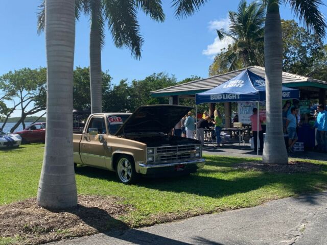 1985 Chevrolet C-10 - photo 2